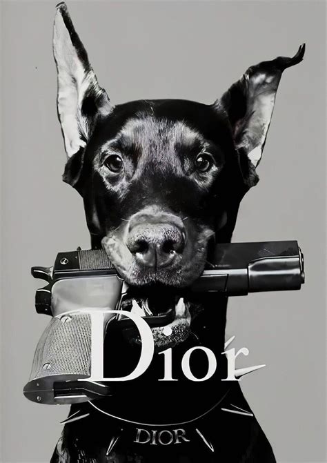 dior poster hund|christian dior dog.